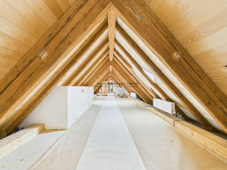 Penthouse exclusif avec lumière et vue - première occupation à Oetwil an der Limmat - Foto 5