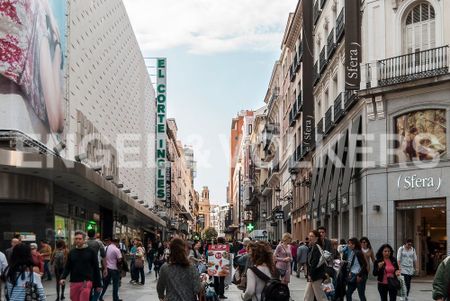 Madrid, Community of Madrid 28005 - Photo 2