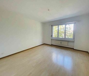 2.5 Zimmer, 50 m², 1. Stock - Photo 2