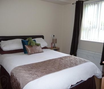 9 Maldon Court, Belfast, BT12 6GY - Photo 6