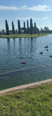 Alquiler de piso en Calle Turina, 4 - Photo 1