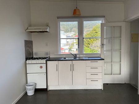 Beautiful 1 bedroom apartment in Mt VIC - Photo 5