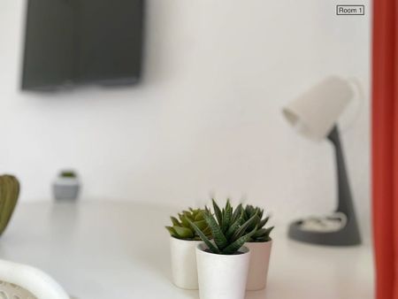 Avenida de Sánchez Pizjuán, Sevilla, Andalusia 41009 - Photo 3