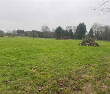 3 bedroom bungalow to rent - Photo 3