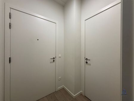 Doornelei 17, 2018 ANTWERPEN - Photo 3