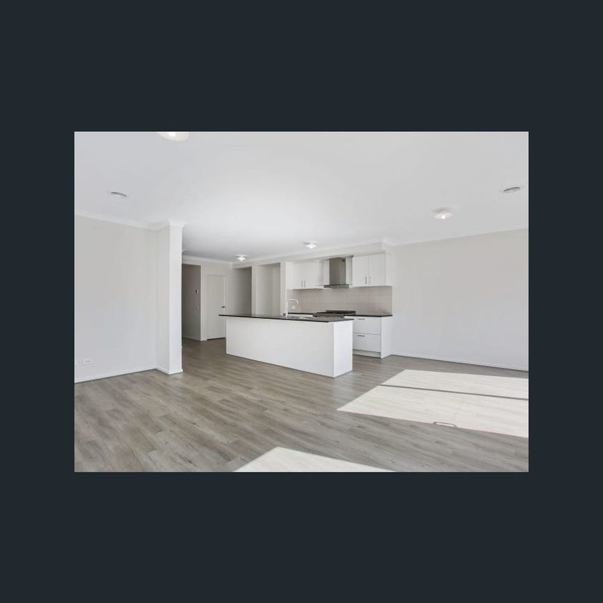 Beautiful 4 Bedroom Home! - Photo 1