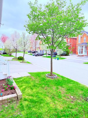 For Lease - 21 Chokecherry Crescent, Markham, Ontario - Photo 1