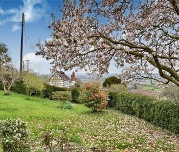 2 bedroom detached house to rent - Photo 5