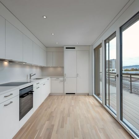 Attikawohnung am Letzigraben in 8047 Zürich Albisrieden - Photo 2
