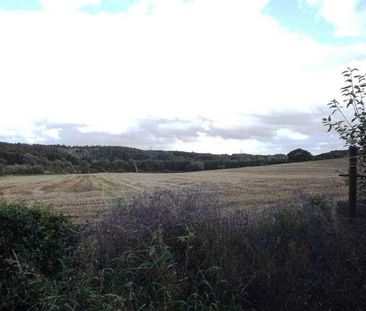 Farewell View, Langley Moor, Durham, DH7 - Photo 1