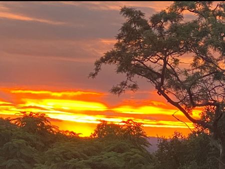 Kelvin Grove - Photo 2