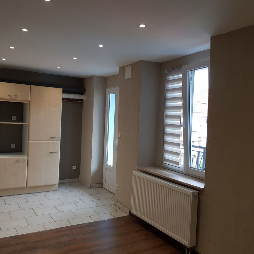 Location Appartement 3 pièces 53m² MULHOUSE 68200 - Photo 1