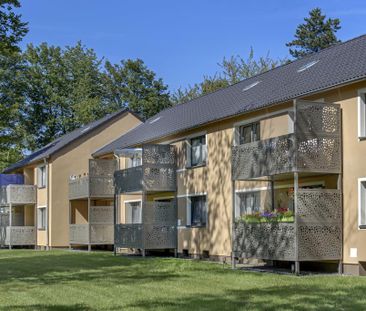 Demnächst frei! 3-Zimmer-Wohnung in Gelsenkirchen Hassel - Photo 2