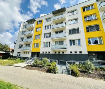 Pronájem bytu 1+1, 17. listopadu, Písek - Photo 2