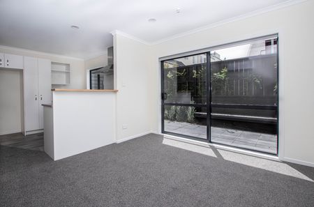 3, Palmerston Street, Hamilton, 3204, Hamilton City Central - Photo 5