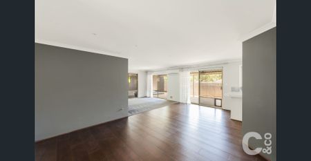 The Perfect Entertainer - Photo 5