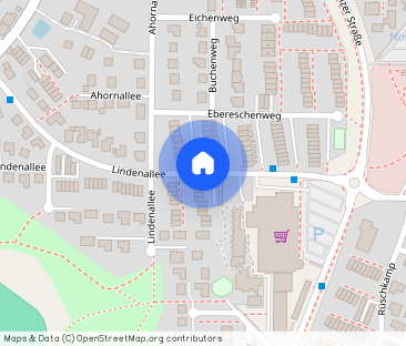 2-Zimmer-Einliegerwohnung mit Südterrasse in Altenholz! - Foto 1