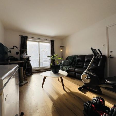 Appartement 4 ½ à louer Charlesbourg juillet 2026 - Photo 3