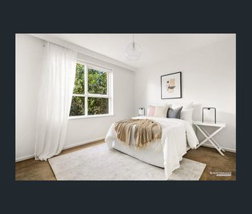 Private Courtyard Living in a Prime Glen Iris Setting - Photo 3