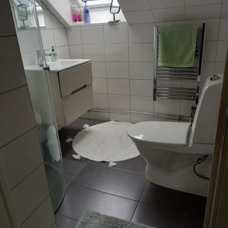 Guldsmedsgatan, Helsingborg - Photo 4