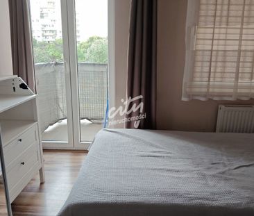 Mieszkanie | Wynajem - Фото 3