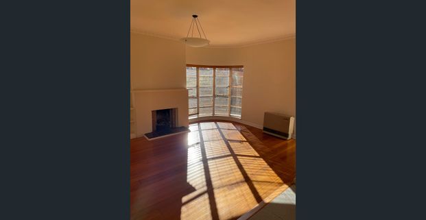 North Facing, Sundrenched, Open Plan, Older Style Large One Bedroom Apartment - Photo 1