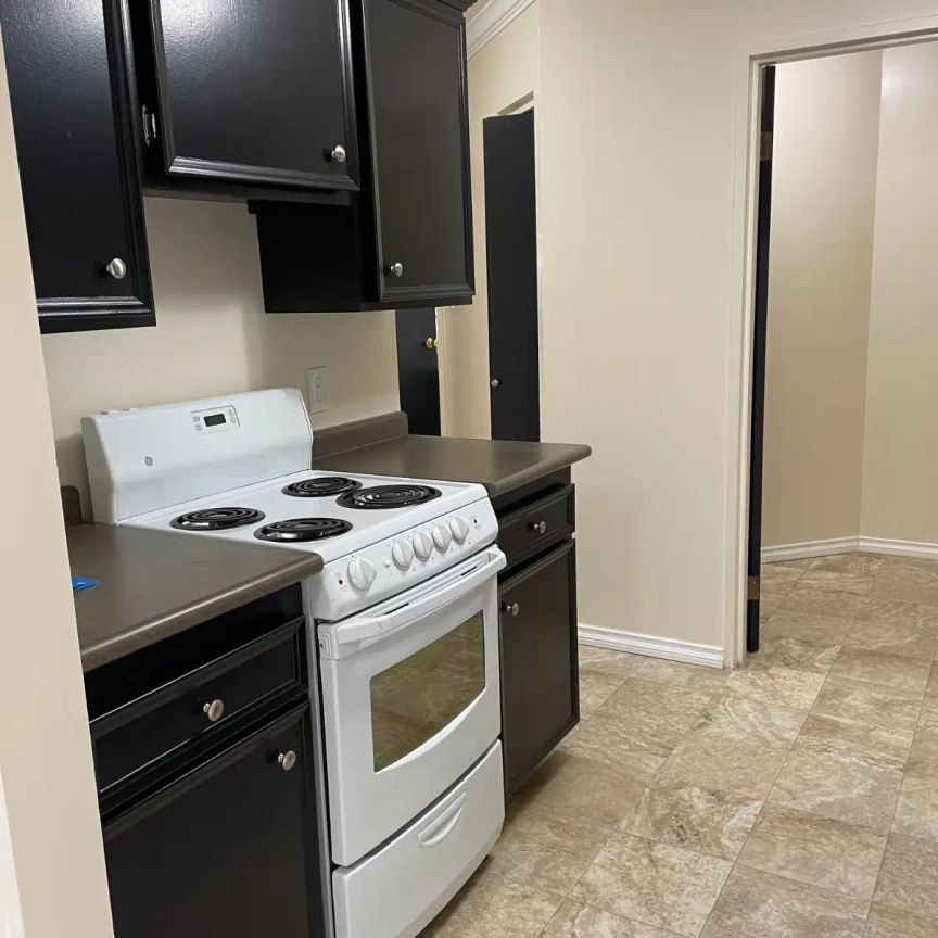 2 BDRM/1.5 BATH - River Trails/Lawson Mall - AVAILABLE FEB 7 - Photo 1