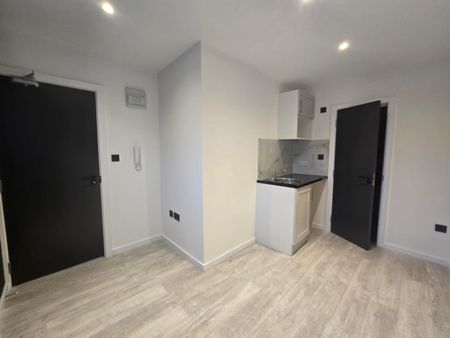 Studio Flat, Sunnyhill Road, SW16 - Photo 3