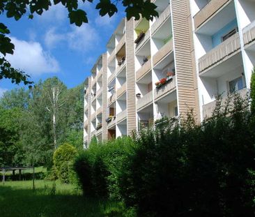 3-Raum-Erdgeschosswohnung mit Balkon - Foto 1