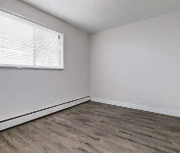 1 Bedroom - Photo 6