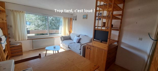 Appartement 1 pièce de 18.48 m2 LOCATION ANNEE MEUBLEE - Photo 1