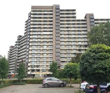 Groningensingel 6835 EA Arnhem - Photo 6