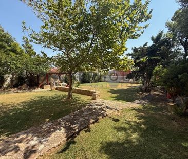 Μεζονέτα για ενοικίαση Ντράφι (Πικέρμι) - Photo 3