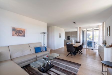 Wunderschöne 4.5-Zimmer-Attika mit Weitblick - Photo 3