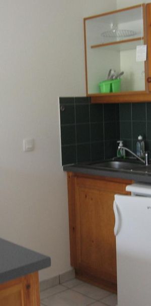 Location Appartement 1 pièce Meublé 23m² LE BOURGET DU LAC 73370 - Photo 2