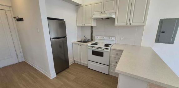 1 CH - 1 SDB - Montréal - $1,295 /mo - Photo 2