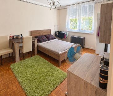 Hajdú-Bihar megye, Debrecen – 1. fotó