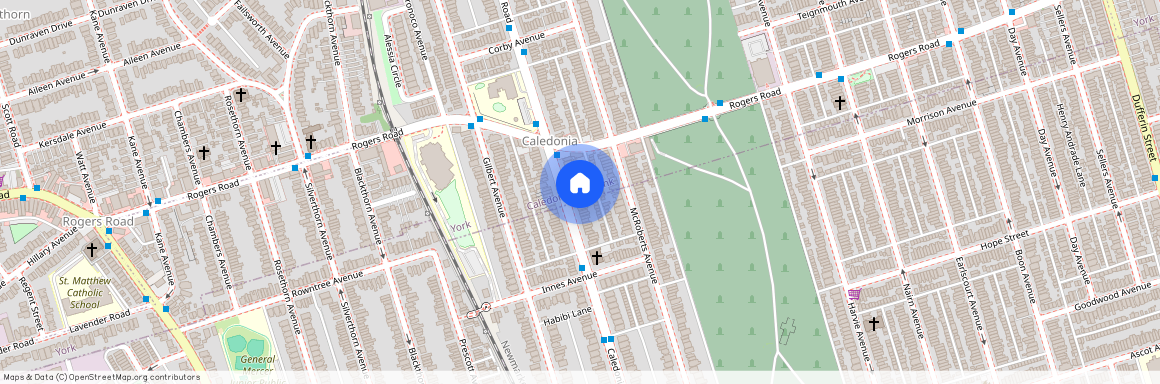 229 Caledonia Road Unit# lower, Toronto