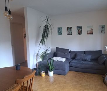 APPARTEMENT 2 PIÈCES À THUN (BE), MEUBLÉ, TEMPORAIRE - Photo 3