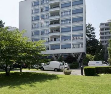 Au rez-de-chaussée, avec petite terrasse. - Photo 2