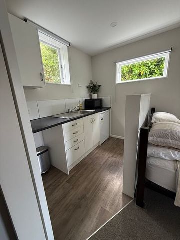 Sun drenched warm Karori home with green vistas - Photo 3