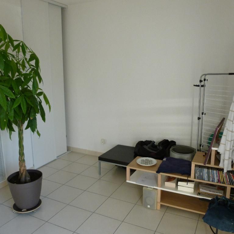 Location Appartement 1 pièce 25m² FROUZINS 31270 - Photo 1