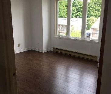 Cuisine 100% renovée, 4 1/2 disponible dès maintenant ! - Photo 4