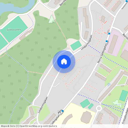 Lindormsgatan, Borås