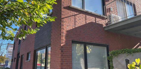 Grand 4 1/2 demi sous-sol récent à Saint-Sulpice (Villeray) - Photo 2