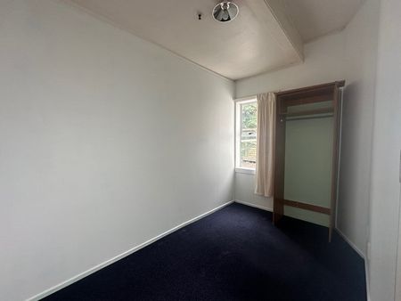 Lincoln Road,Bluff Hill - Photo 2