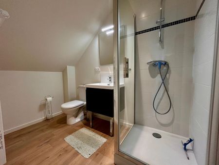 Location Appartement 1 pièce Meublé 23m² MER 41500 - Photo 4