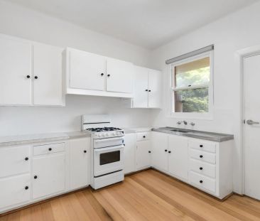 Park Views & Light Filled! - Photo 5