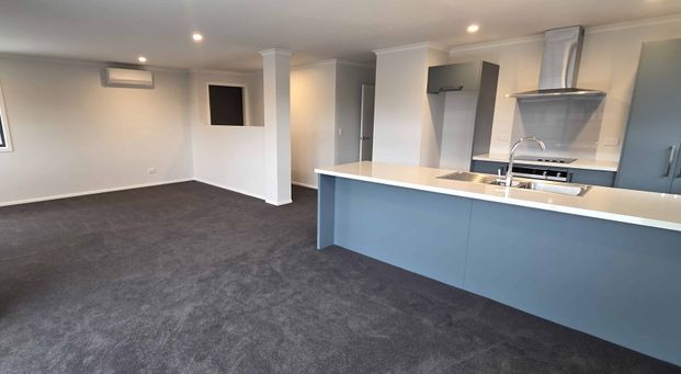 Be the first to enjoy this new build in Rockdale! - Photo 1