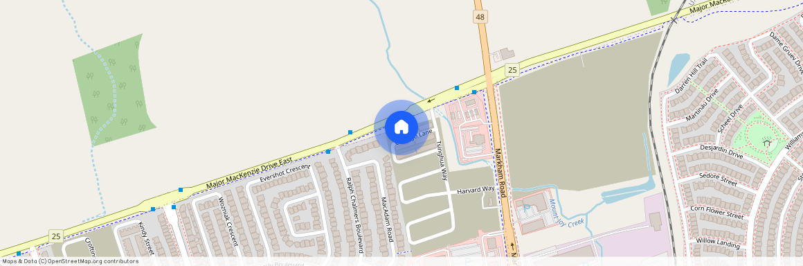 28 Chicago Lane, Markham